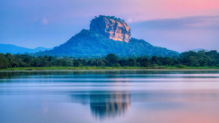 Animation & Graphics